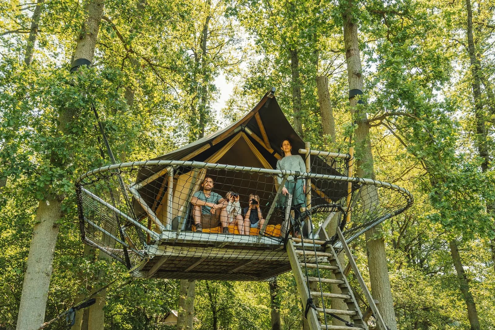 Tree tents